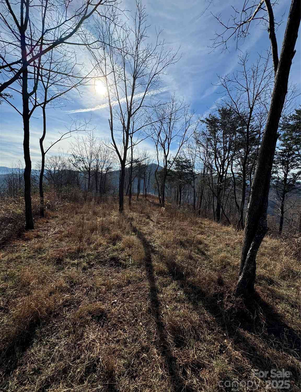 989 High Rock View Drive #50, Canton, North Carolina image 12