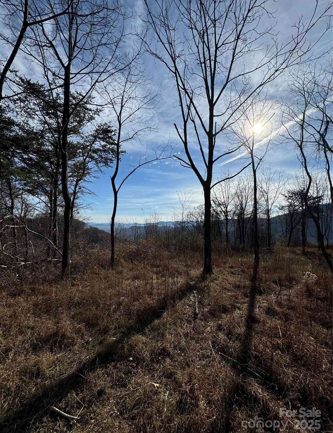 989 High Rock View Drive #50, Canton, North Carolina image 8