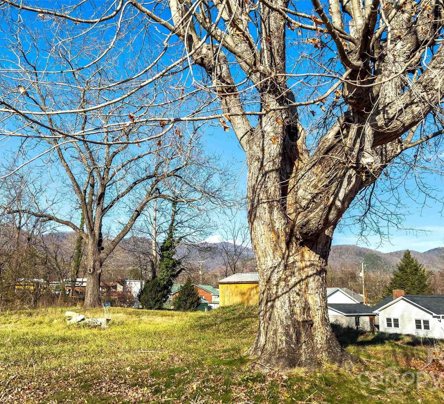 103 Center Avenue, Black Mountain, North Carolina image 4