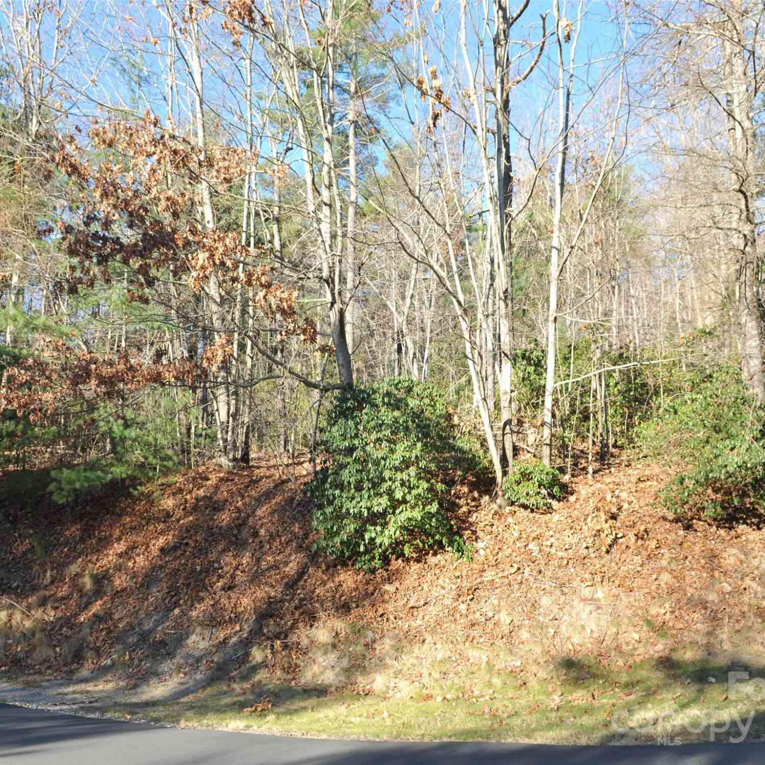 000 Didrikson Way #244, Hendersonville, North Carolina image 5