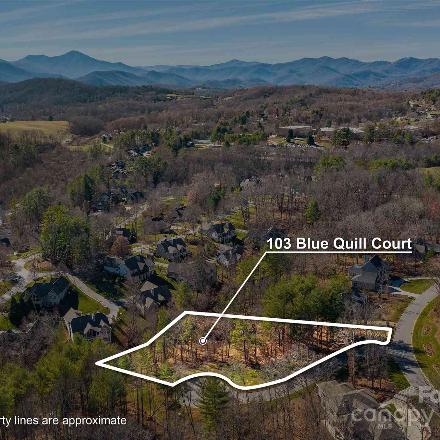 103 Blue Quill Court, Biltmore Lake, North Carolina image 1