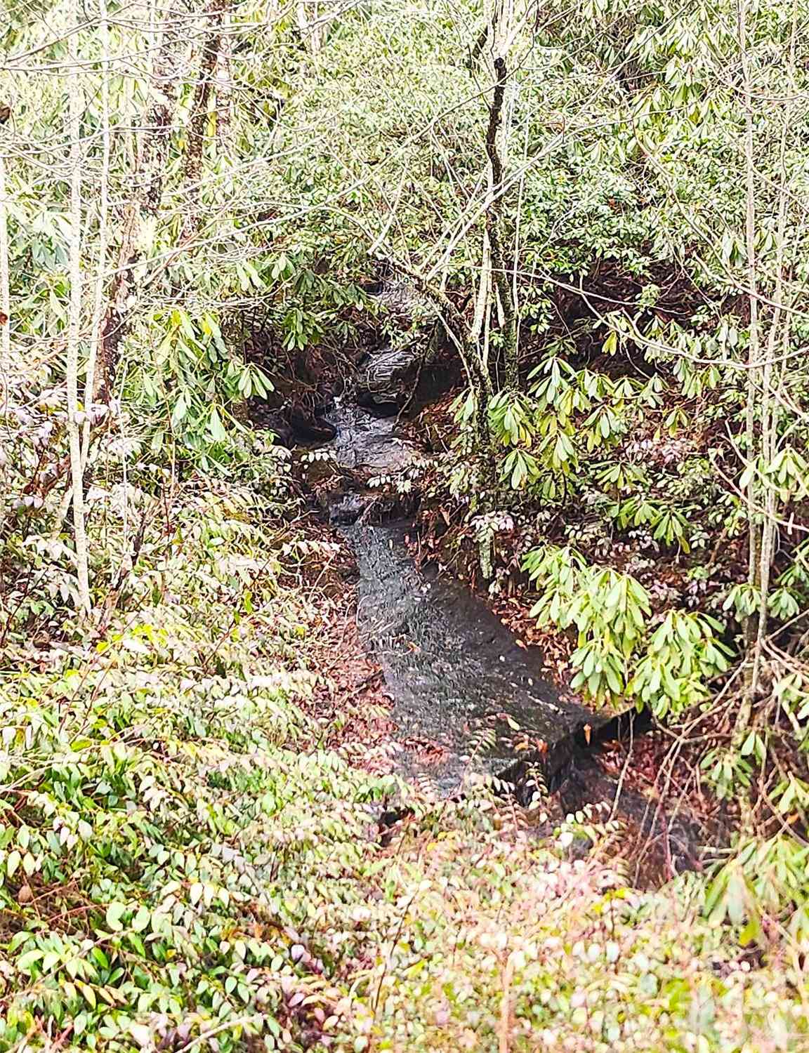 Spencer Lane, Lake Toxaway, North Carolina image 4