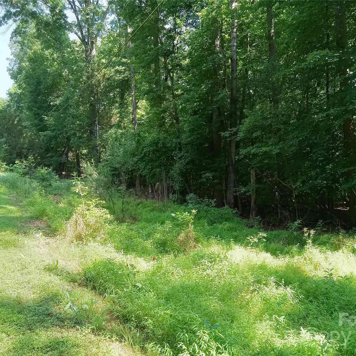 Lot 26 Oxford Terrace Road, Weddington, North Carolina image 2