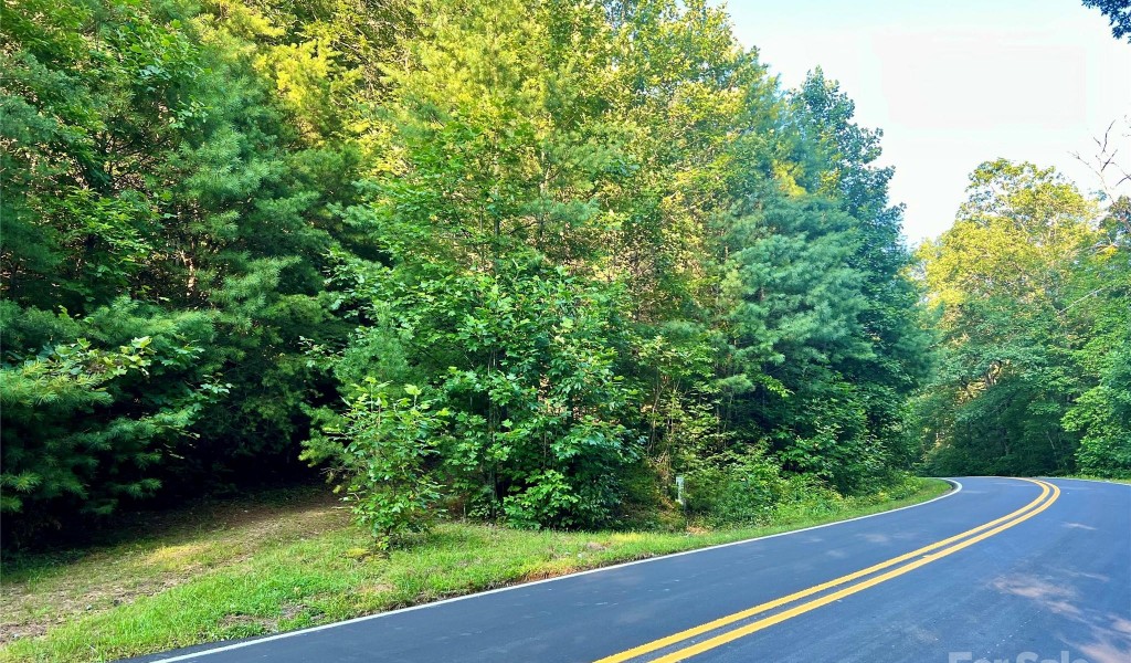 TBD On Sr 1309 Road, Lake Toxaway, North Carolina image 1