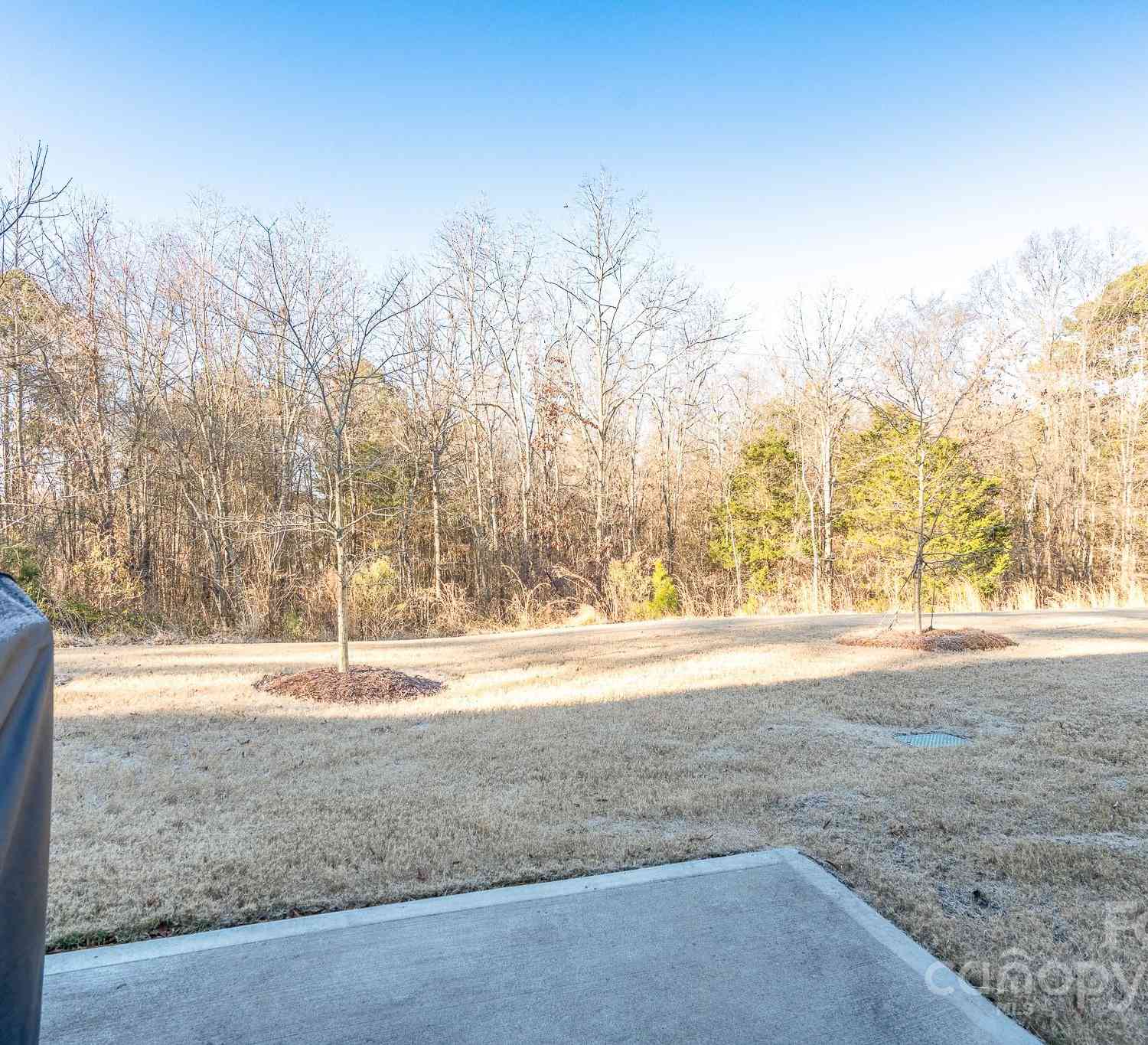 18106 Pear Hawthorne Drive, Huntersville, North Carolina image 29