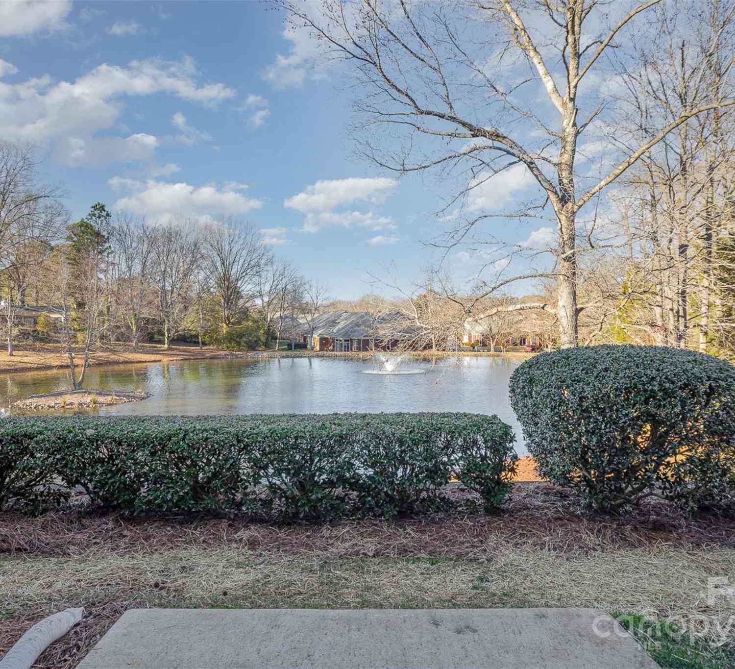 13217 Mint Lake Drive, Matthews, North Carolina image 23