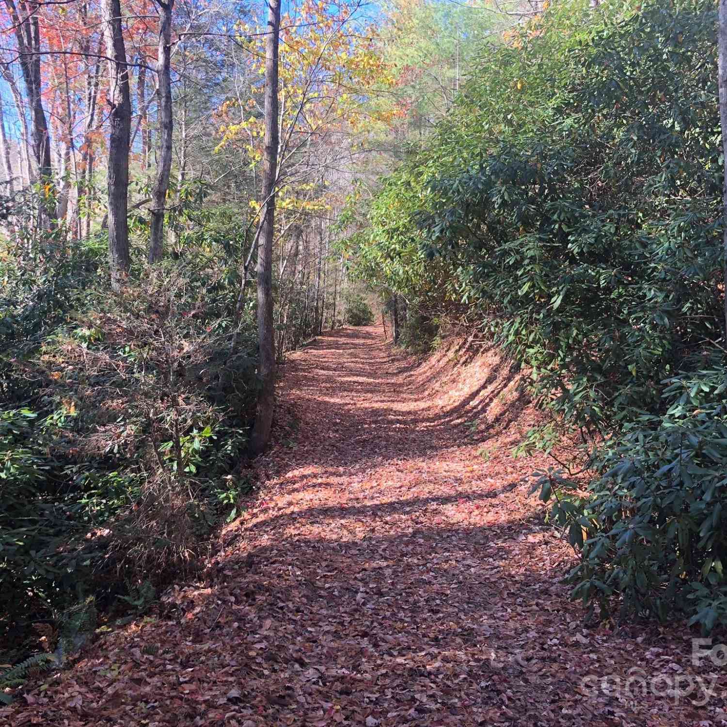 3076 Anderson Cove Road, Marshall, North Carolina image 37