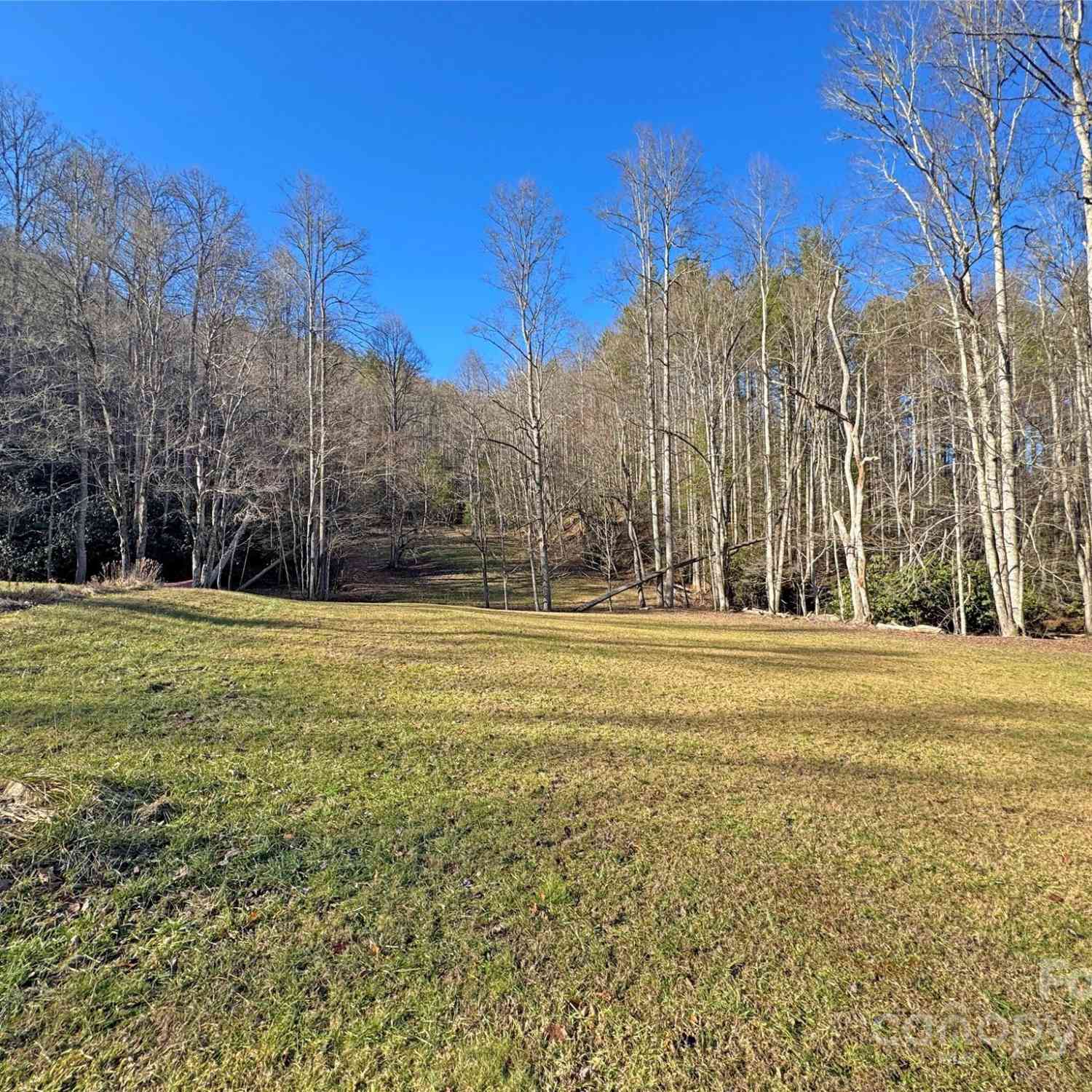 3076 Anderson Cove Road, Marshall, North Carolina image 38