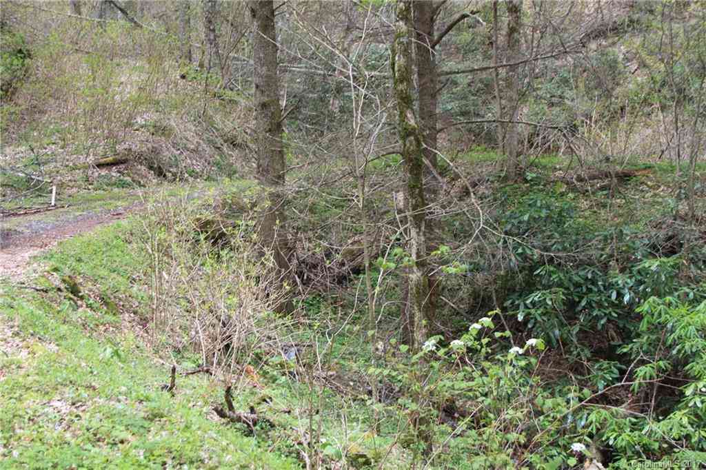 0000 Big Spring Trail #61, Qualla, North Carolina image 17