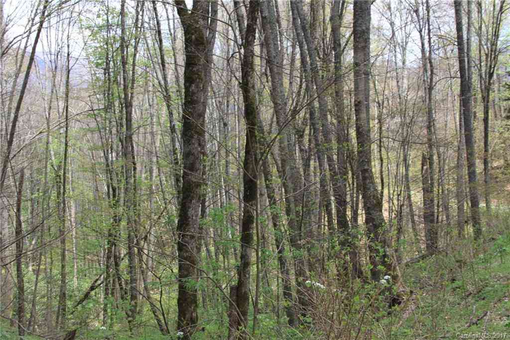 0000 Big Spring Trail #61, Qualla, North Carolina image 10