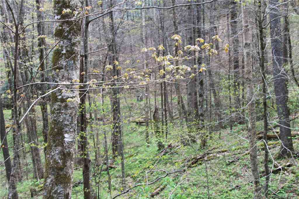 0000 Big Spring Trail #61, Qualla, North Carolina image 19