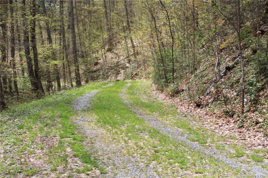 0000 Big Spring Trail #61, Qualla, North Carolina image 21