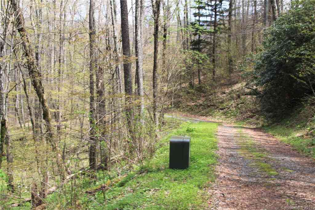 0000 Big Spring Trail #61, Qualla, North Carolina image 2