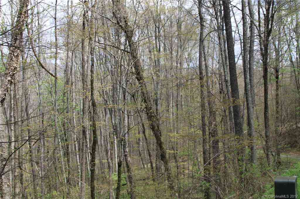 0000 Big Spring Trail #61, Qualla, North Carolina image 15