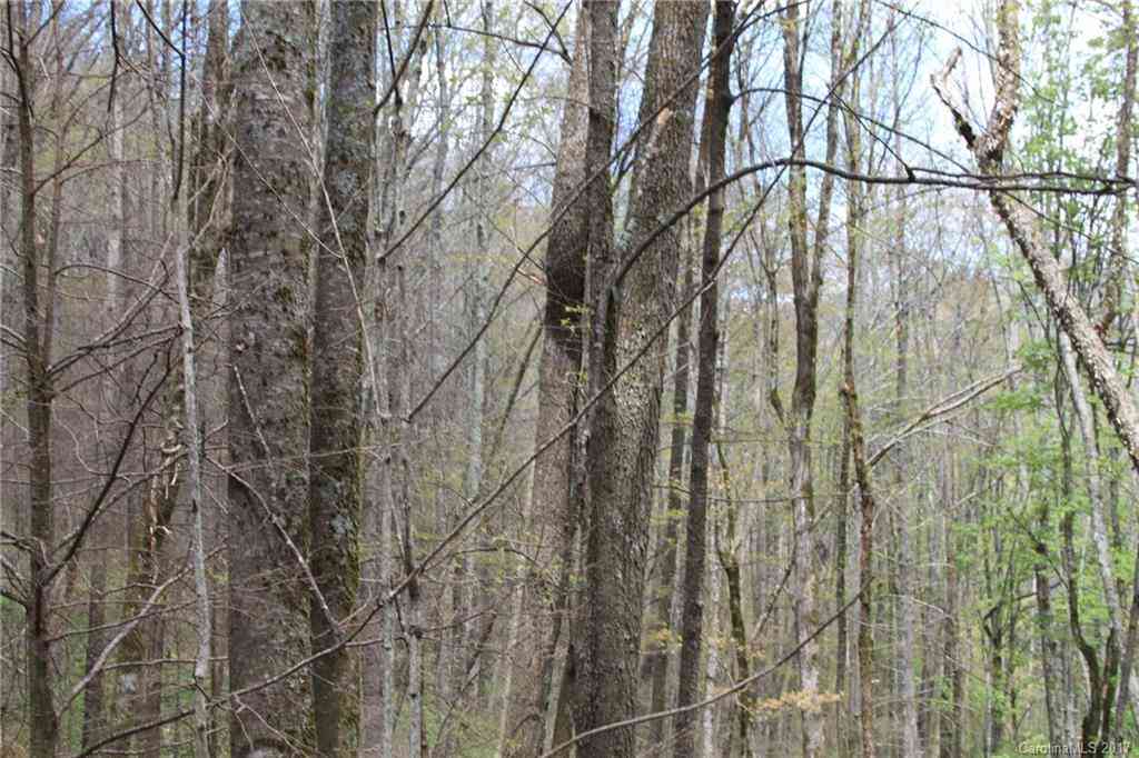 0000 Big Spring Trail #61, Qualla, North Carolina image 14