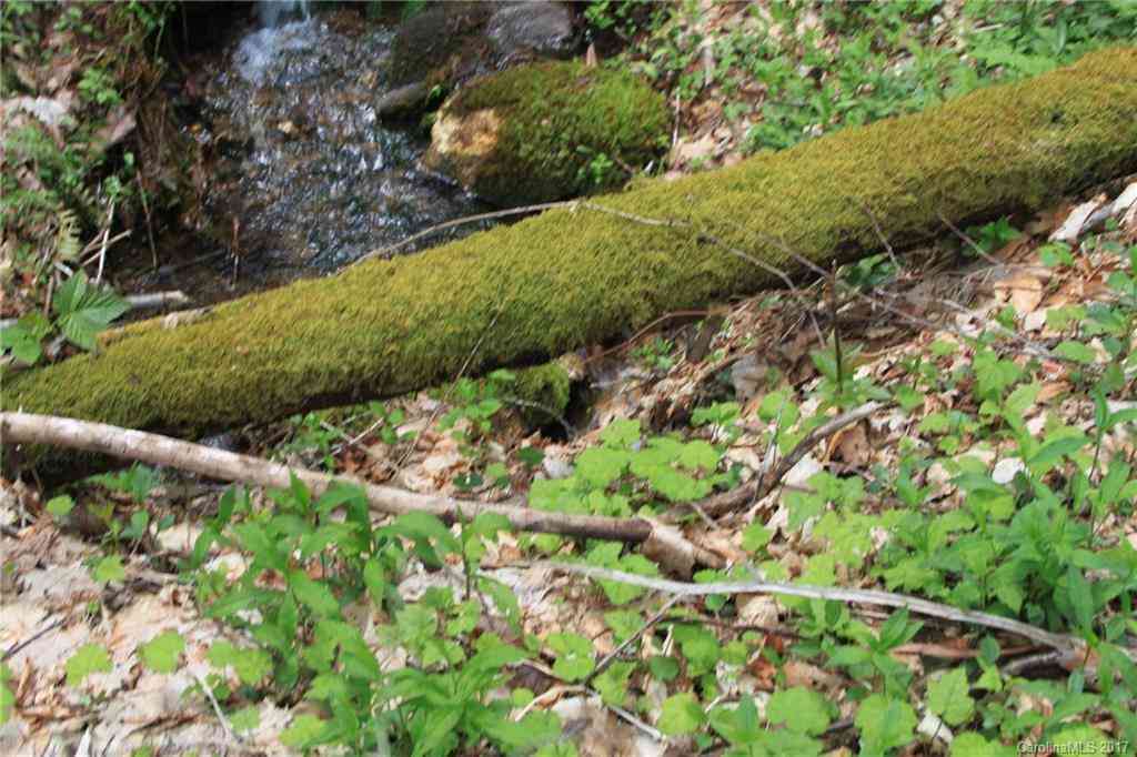 0000 Big Spring Trail #61, Qualla, North Carolina image 7