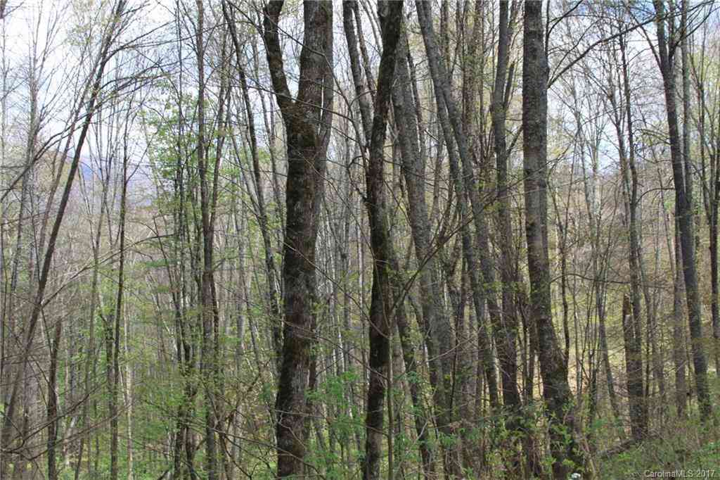 0000 Big Spring Trail #61, Qualla, North Carolina image 11