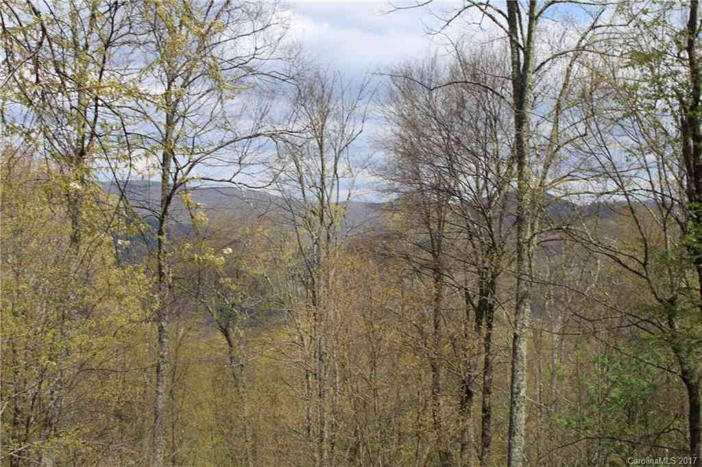 0000 Big Spring Trail #69, Qualla, North Carolina image 2