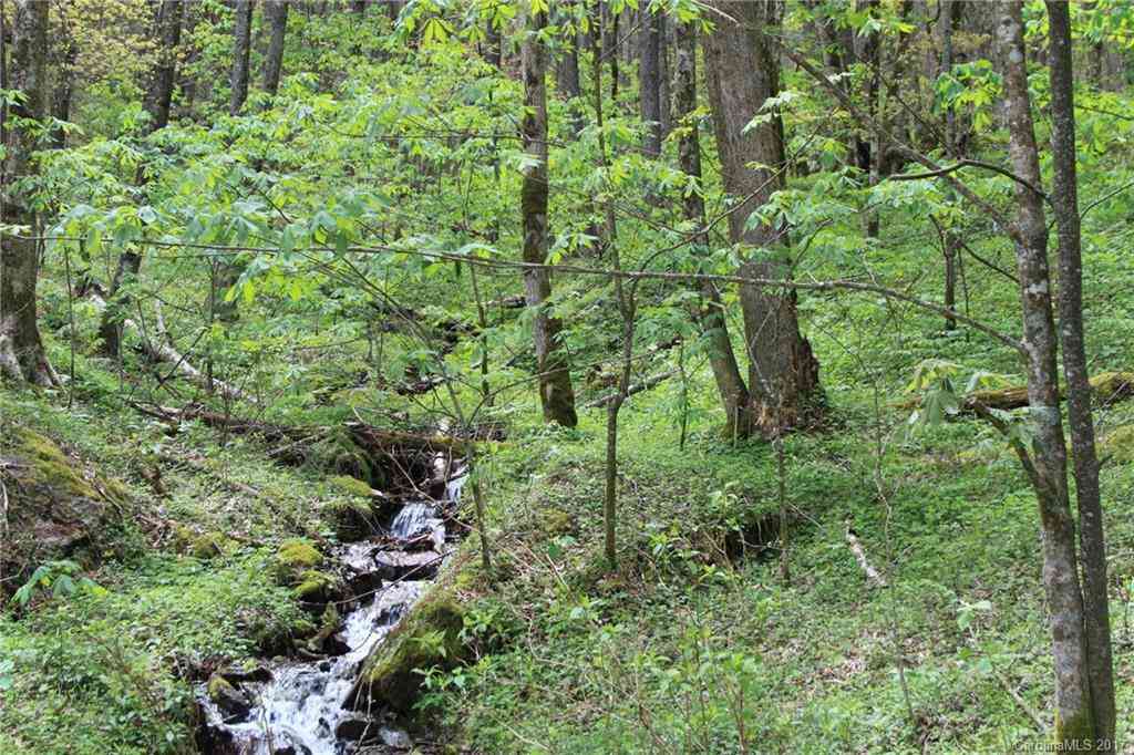 0000 Big Spring Trail #69, Qualla, North Carolina image 11