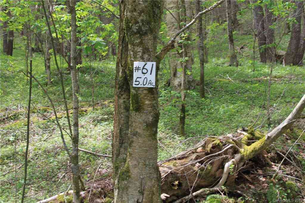 0000 Big Spring Trail #69, Qualla, North Carolina image 10