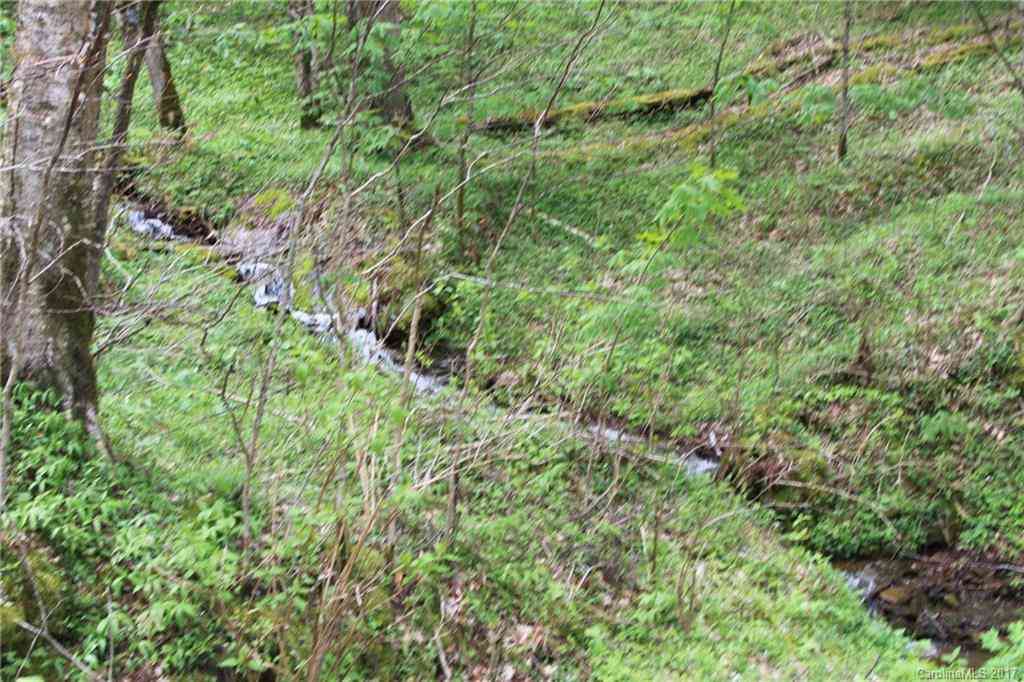 0000 Big Spring Trail #69, Qualla, North Carolina image 17