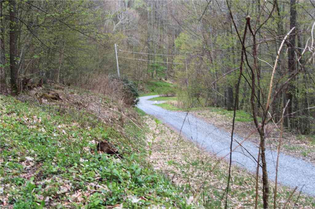 0000 Big Spring Trail #69, Qualla, North Carolina image 20