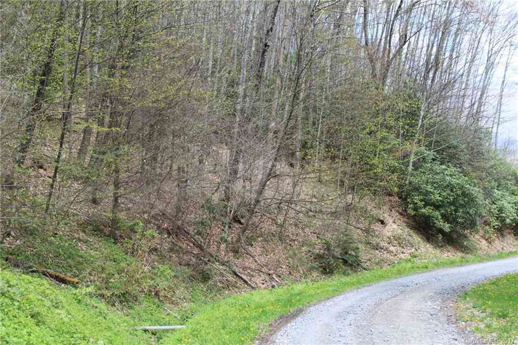 0000 Big Spring Trail #69, Qualla, North Carolina image 1