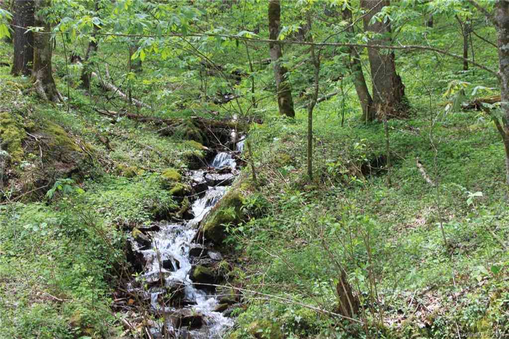 0000 Big Spring Trail #69, Qualla, North Carolina image 5