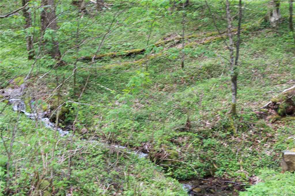 0000 Big Spring Trail #61,69, Qualla, North Carolina image 12