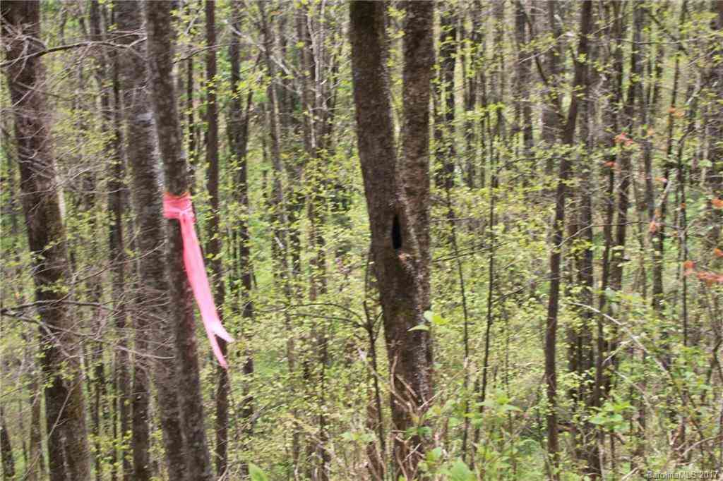 0000 Big Spring Trail #61,69, Qualla, North Carolina image 22