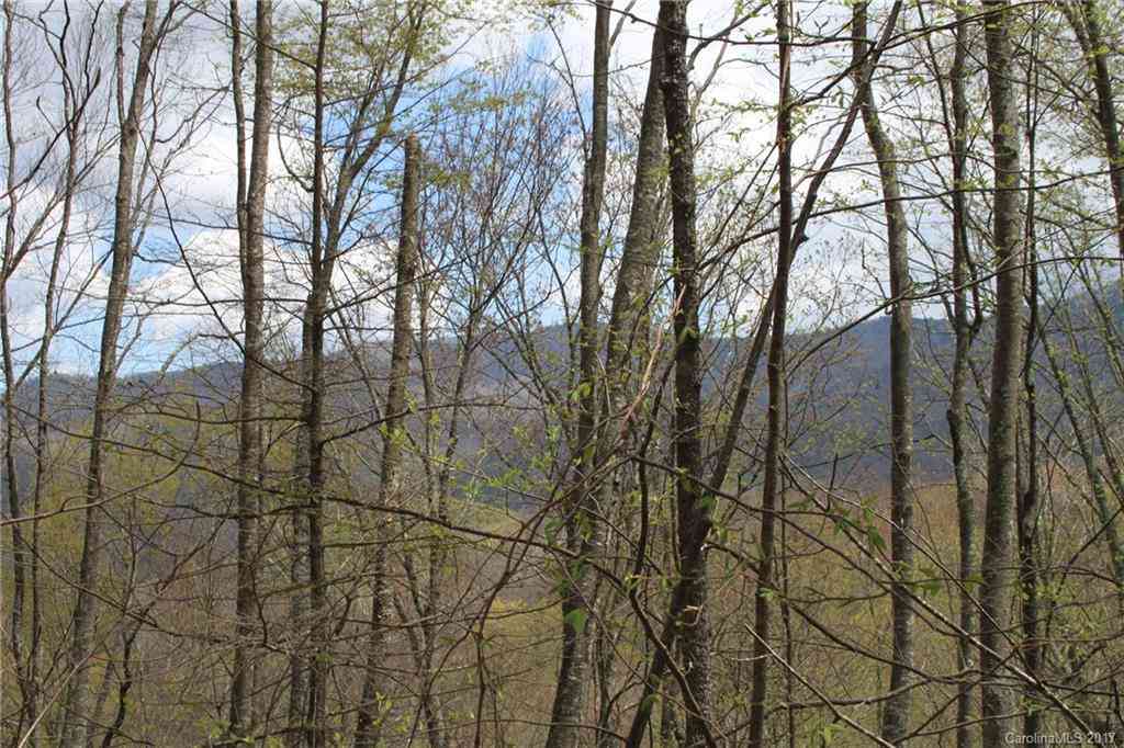 0000 Big Spring Trail #61,69, Qualla, North Carolina image 23