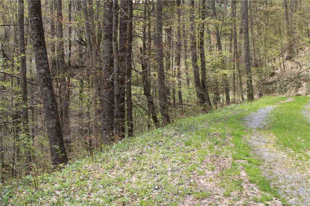 0000 Big Spring Trail #61,69, Qualla, North Carolina image 21