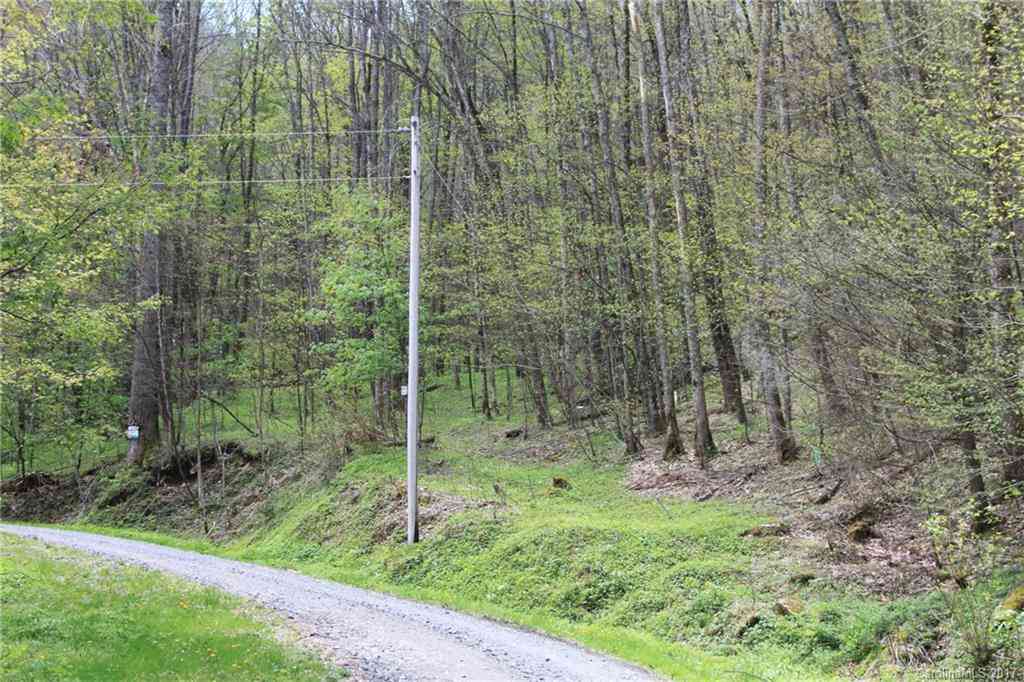 0000 Big Spring Trail #61,69, Qualla, North Carolina image 3