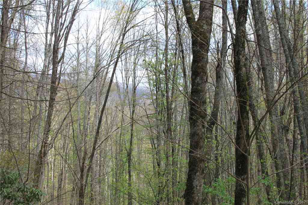 0000 Big Spring Trail #61,69, Qualla, North Carolina image 14