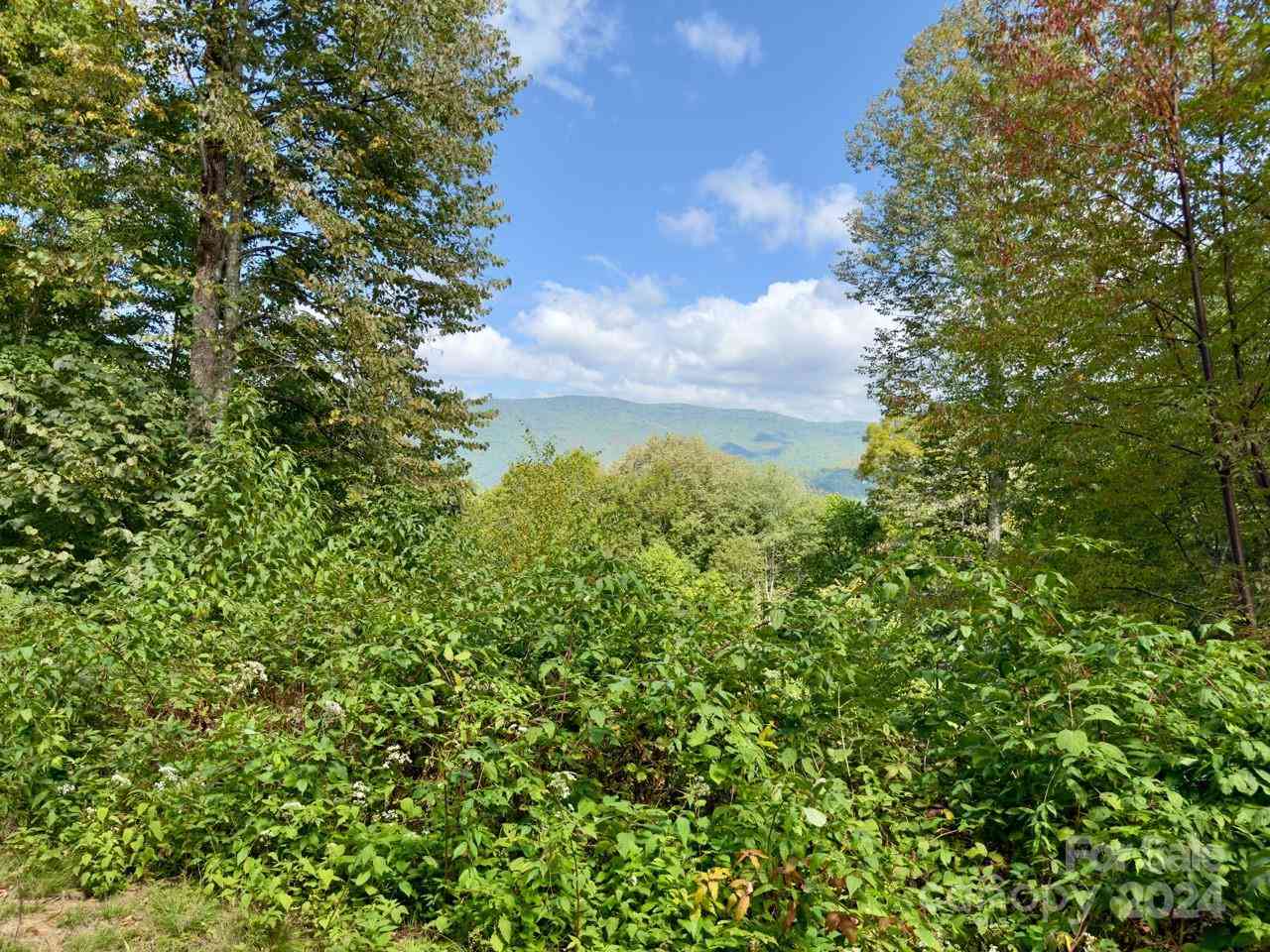 0000 Big Spring Trail #65, Qualla, North Carolina image 1