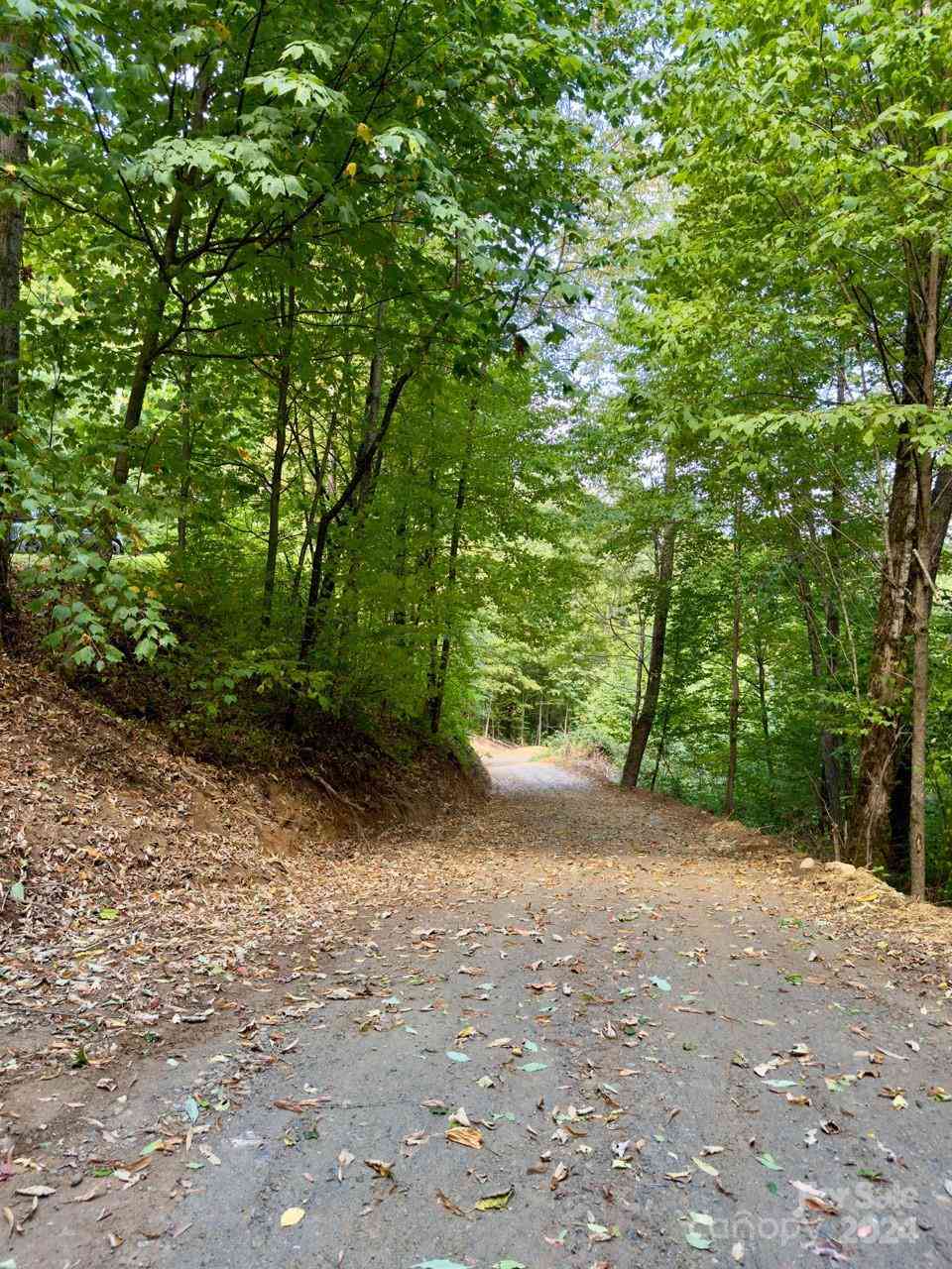 0000 Big Spring Trail #65, Qualla, North Carolina image 8