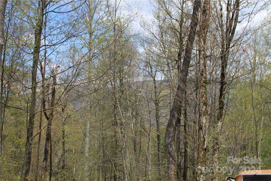 0000 Big Spring Trail #65, Qualla, North Carolina image 19