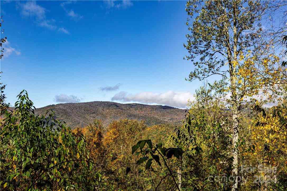 0000 Big Spring Trail #65, Qualla, North Carolina image 9