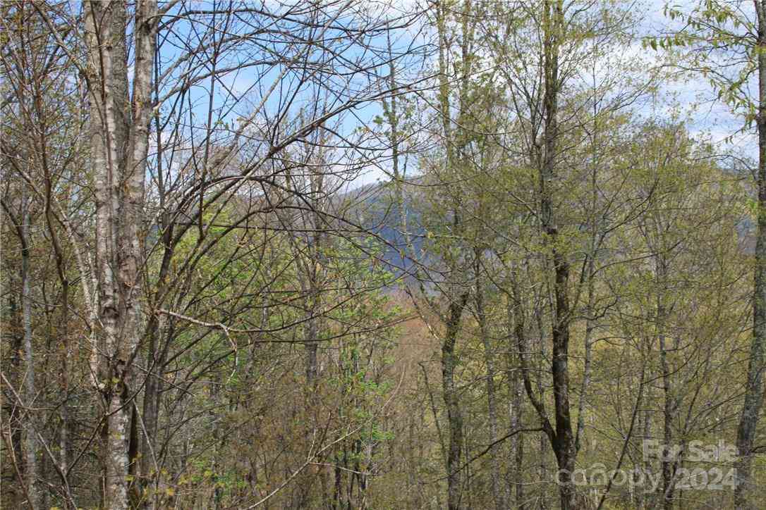 0000 Big Spring Trail #65, Qualla, North Carolina image 16