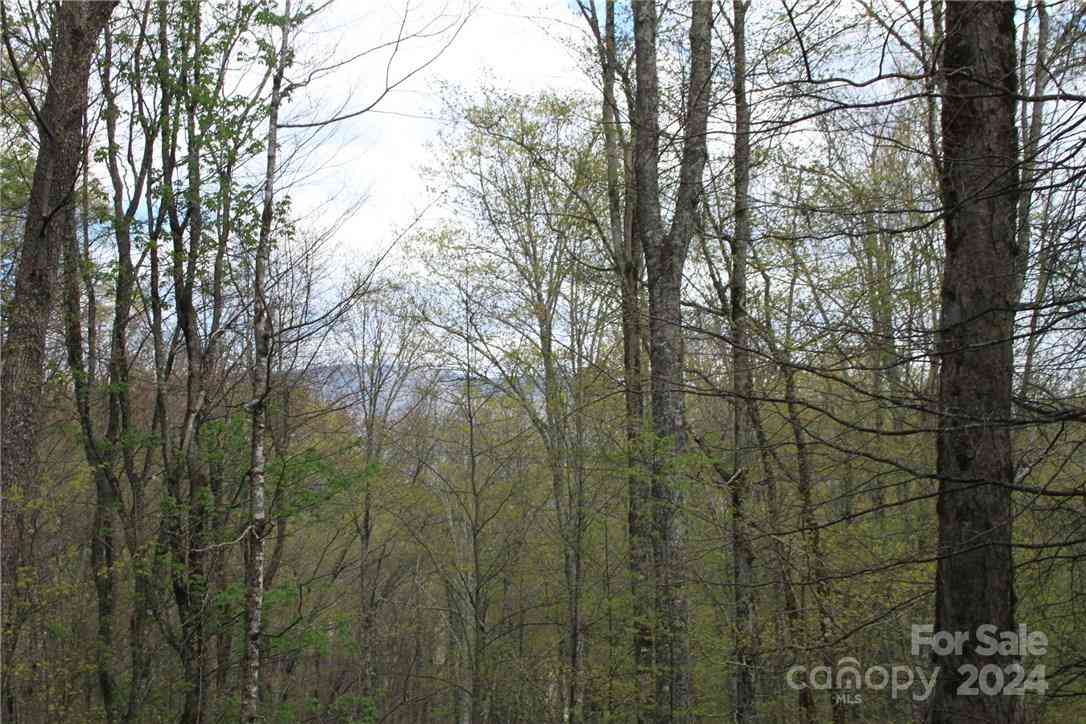 0000 Big Spring Trail #65, Qualla, North Carolina image 20