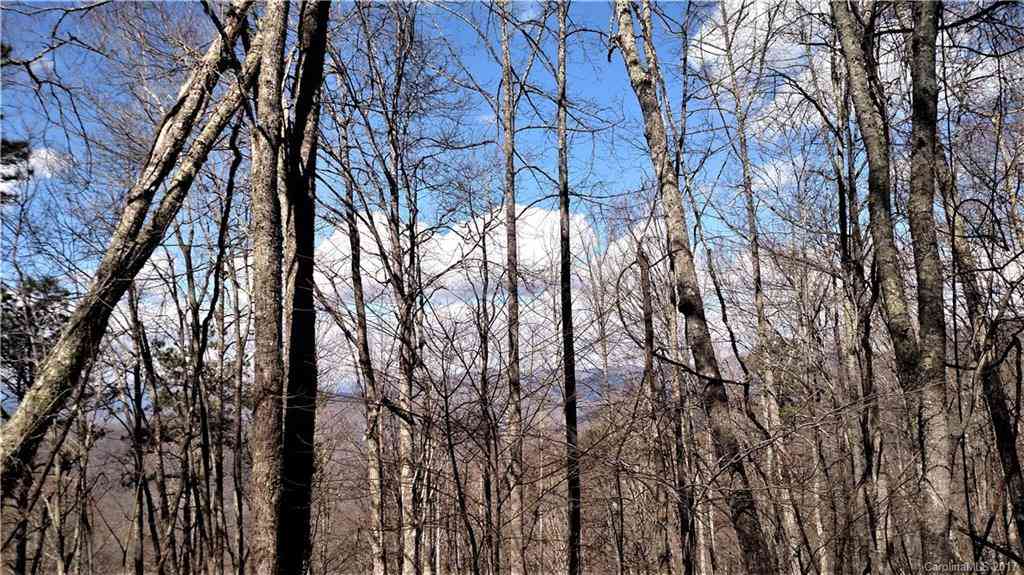 0000 Wild Turkey Drive #LOT 15 SEC 4, Whittier, North Carolina image 1