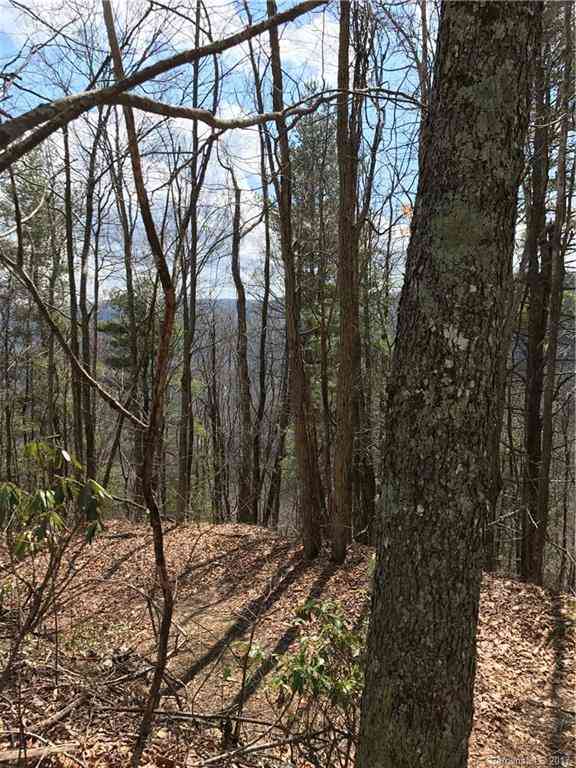 Lot 1 Sec 10 Julalbo Road #LOT 1, Whittier, North Carolina image 3