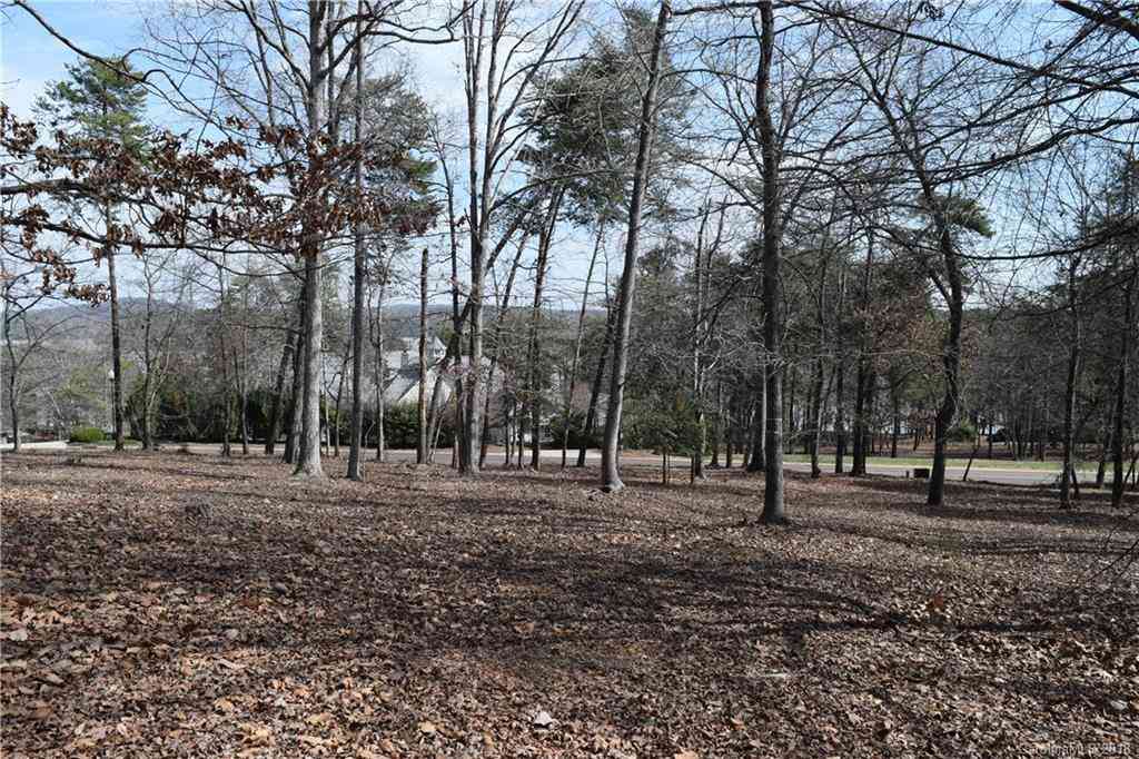 156 Flint Ridge Trail, New London, North Carolina image 2