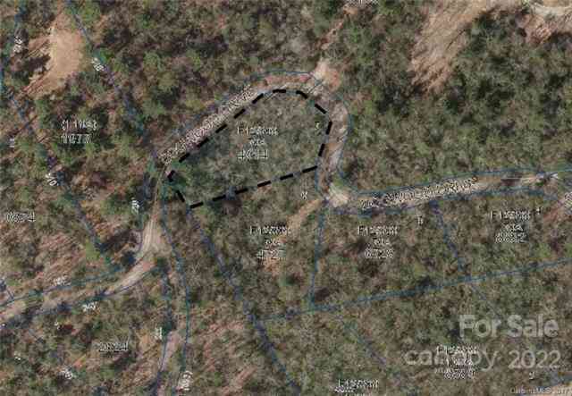 000 Dogwood Drive #E7, Penrose, North Carolina image 4