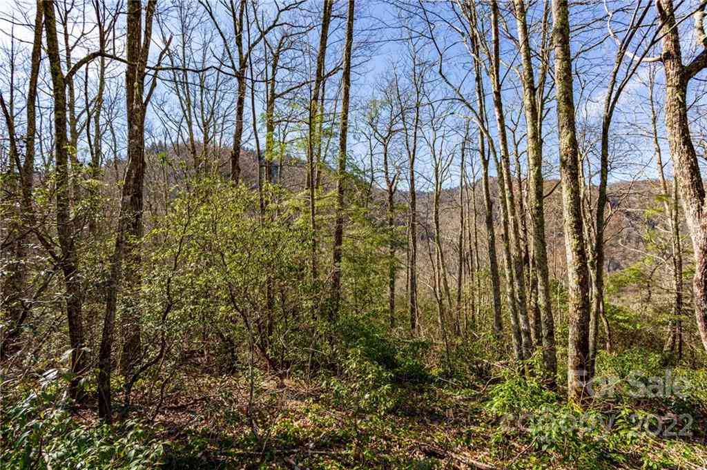 Lot 81 Shangri Lane #81, Qualla, North Carolina image 10