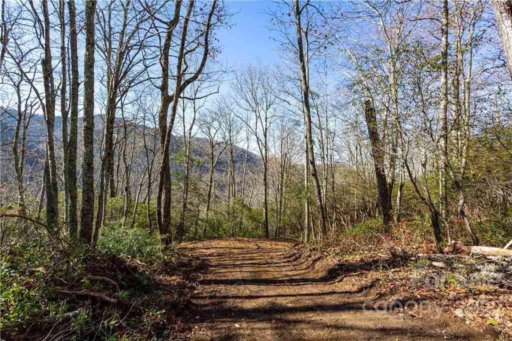 Lot 81 Shangri Lane #81, Qualla, North Carolina image 2