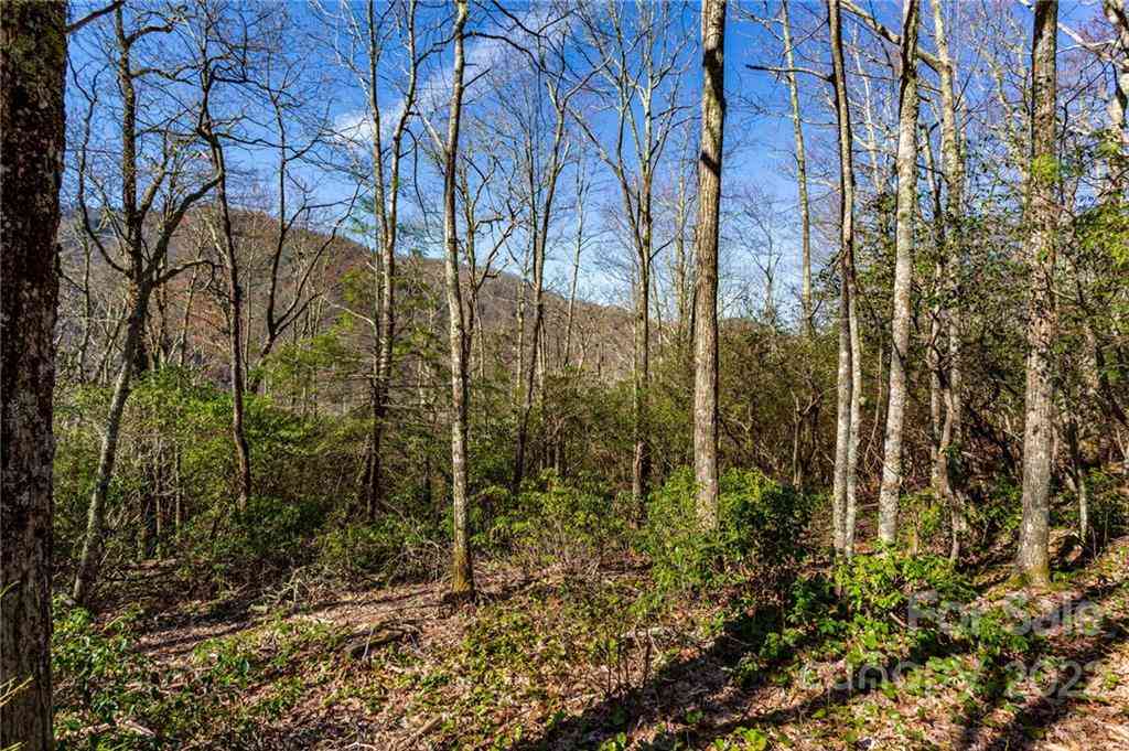 Lot 81 Shangri Lane #81, Qualla, North Carolina image 12