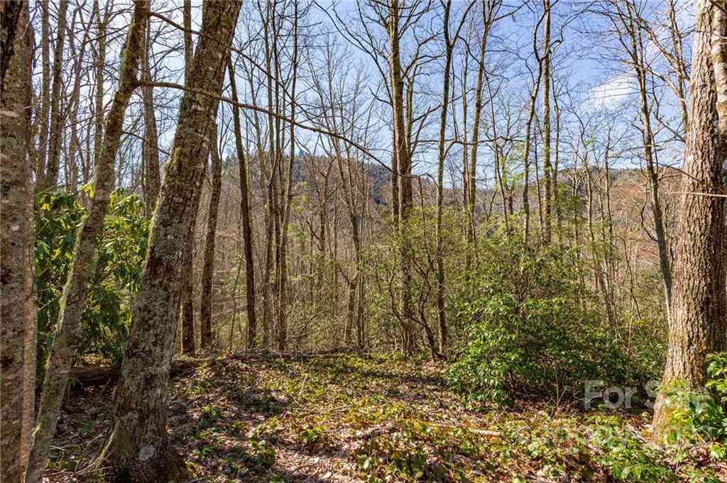 Lot 81 Shangri Lane #81, Qualla, North Carolina image 15