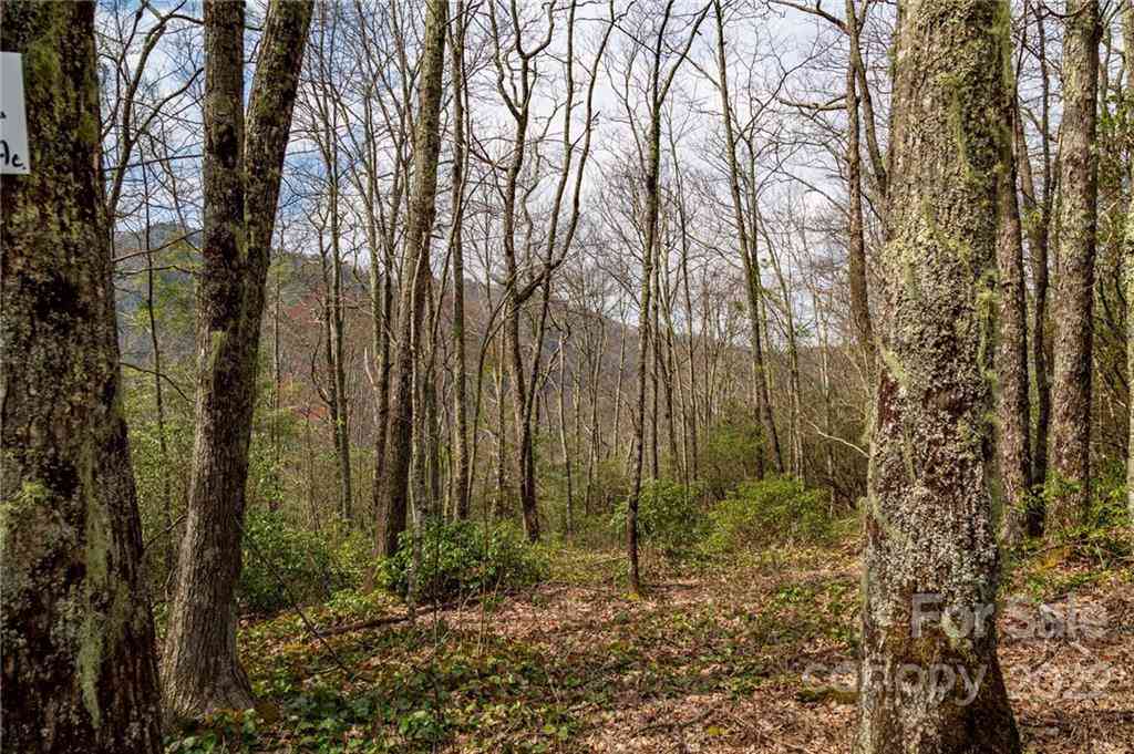 Lot 81 Shangri Lane #81, Qualla, North Carolina image 20