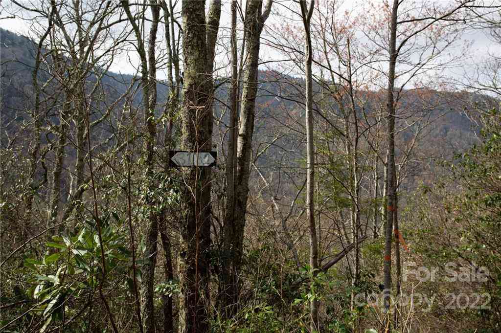 Lot 81 Shangri Lane #81, Qualla, North Carolina image 19